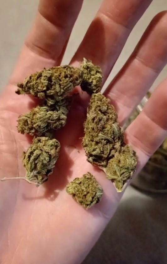 The Eternal City How Safe Is Rome Where To Find Weed In Italy